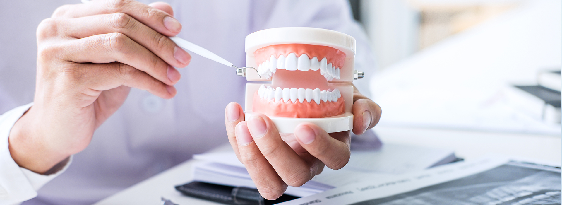 A person holding a cup with a tooth model inside, surrounded by dental tools and a workspace setting.